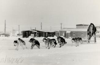 Cultural differences: In a land larger than Western Europe where you can still see dogsleds, Nick Sibbeston, right, is government leader in a sometimes rough-and-tumble legislative assembly