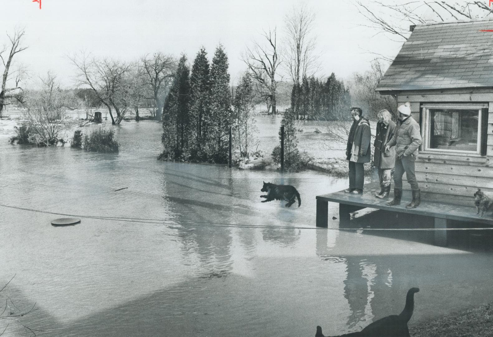 The swirling floodwaters of the Credit River near the foot of Willow Lane in Meadowvale don't upset some of the residents, even when their basements a(...)