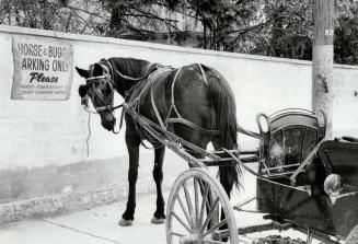 Old vs new: Parking spots for horses co-exist side-by-side with more modern methods of transportation in an Elmira shopping centre