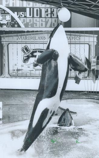 Marineland (top) in Niagara Falls is open the year round and the falls themselves (bottom) are spectacular even in winter