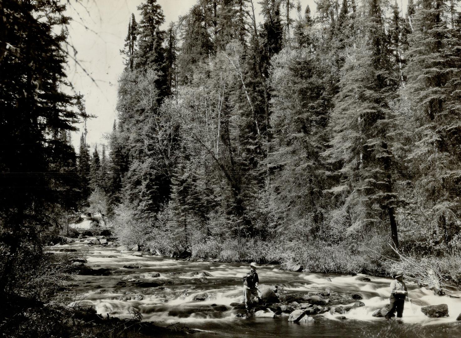 CF 33418 - White Sands River, Lake Nipigon district, Ontario