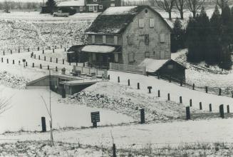 Down on bear creek pond the youngsters of the 14 families who live in the small crossroads community of Utopia, eight miles regularly sweep the snow o(...)