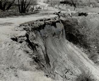 Erosion has bitten deeply into the Scarboro Bluffs, causing thousands of tons of clay to tumble down the slope to the receding beach lines. Pictured h(...)