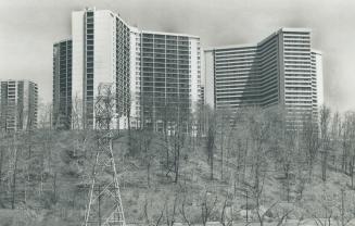 Council debates on high-rises have avoided basic issues, claims Margaret Scrivener in letter above,