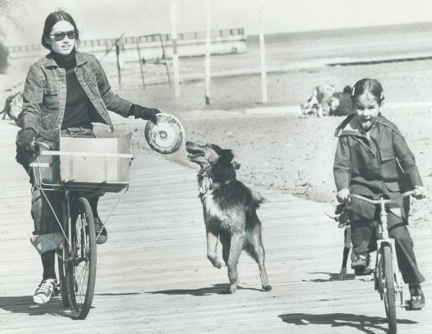 Frisbee fan is dogged, The boardwalk at Kew Beach is one of the most popular places in town as spring sun starts to warm up Metro. Frisbees are still (...)