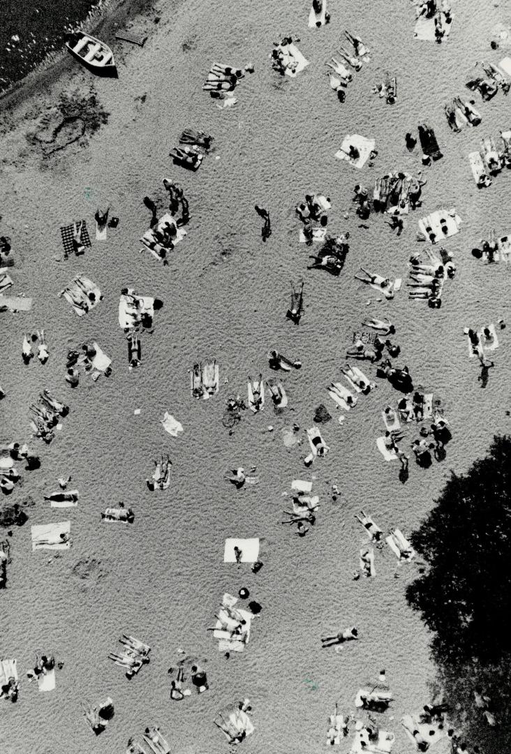 Sun worshippers: The crowd at Woodbine Beach Soaks up yesterday's 30c (86F) heat