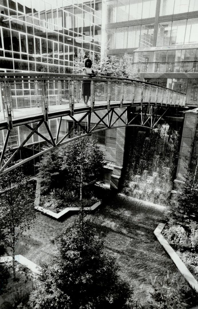 City oasis: A waterfall in a forest of greenery delights the eyes of residents of the condominiums at the top of the remodelled Terminal Warehouse on the waterfront