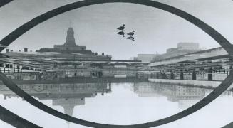 Some reflections on tourists who duck into town, A pair of ducks, who make the reflecting pool at Nathan Phillips Square one of their regular stopover(...)