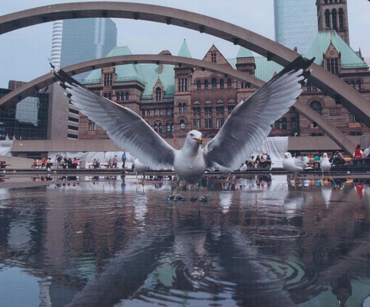 Nathan Phillips Sq