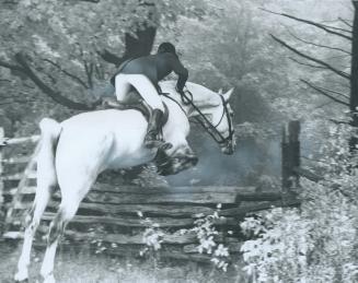 First jump of the day's hunt is accomplished with style by this member of the Toronto and North York Hunt