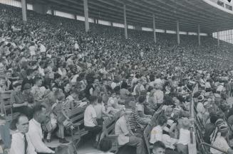 Children by their thousands, jammed into the C