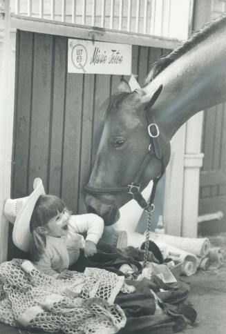 A ticklish moment, Kristen Conforzi, 2, of Mississauga gets a warm wet nuzzle from quarter horse Missie Jotoe at the Quarterama Horse Show yesterday