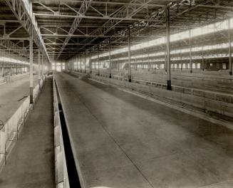 Canada - Ontario - Toronto - Exhibitions - CNE - Buildings - Coliseum