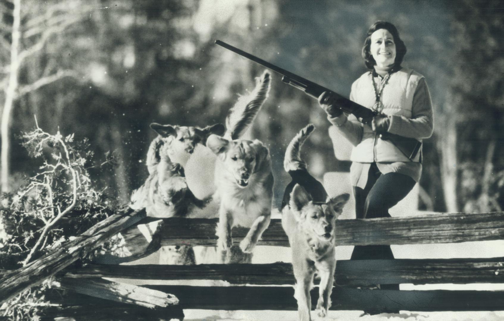 Tally-ho, Warming up for the Sportsmen's Show, which runs all this week at the CNE, Joan Dales of Newmarket puts her three prize golden retrievers through field trails