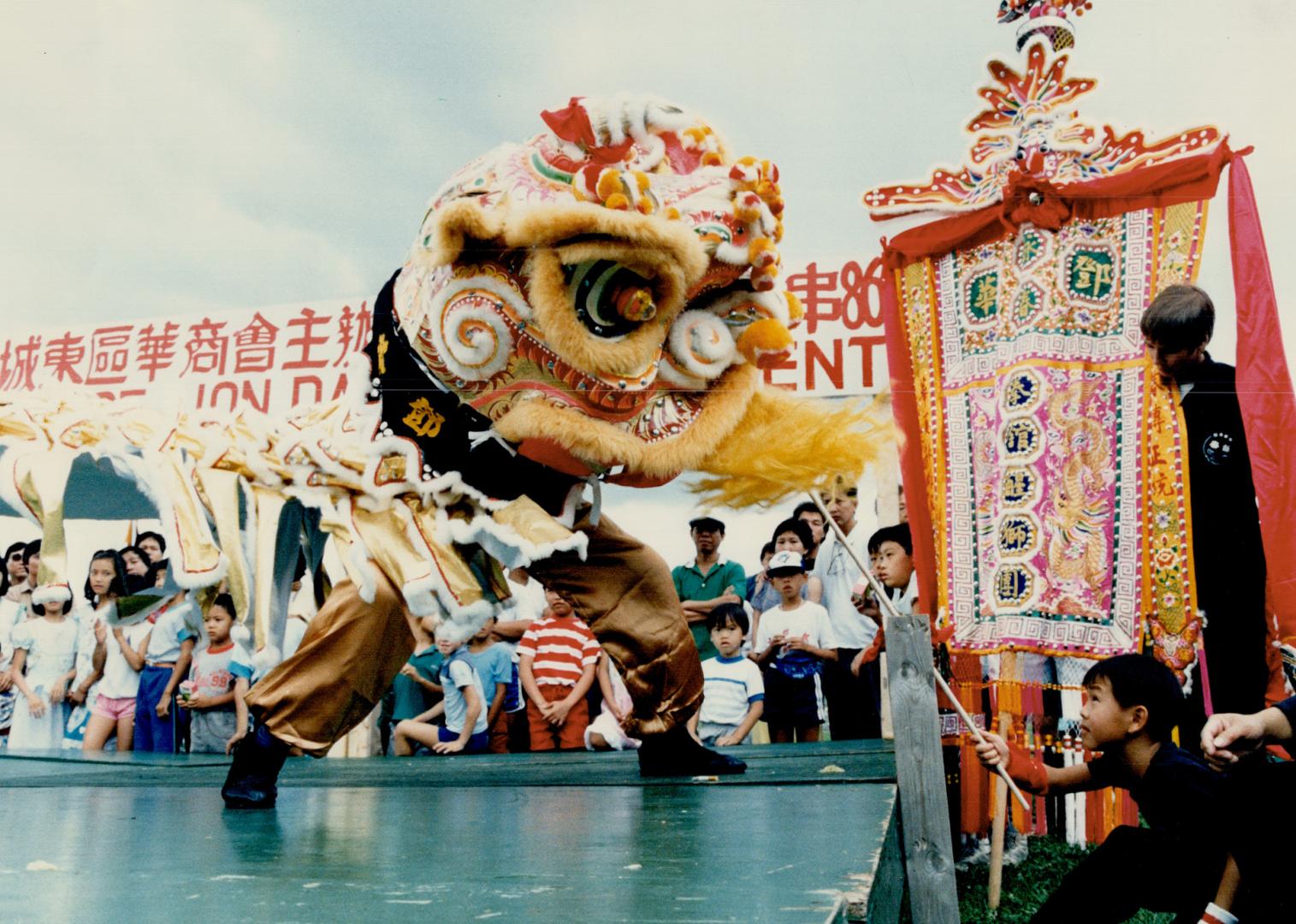 Fancy feline: A strikingly clad dancer performs the Lion Dance yesterday in Riverdale Park as a young spectator gingerly tries to attract his attention with a stick