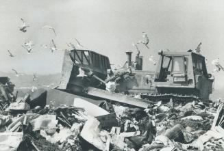 Mountain of refuse at Metro's Beare Rd