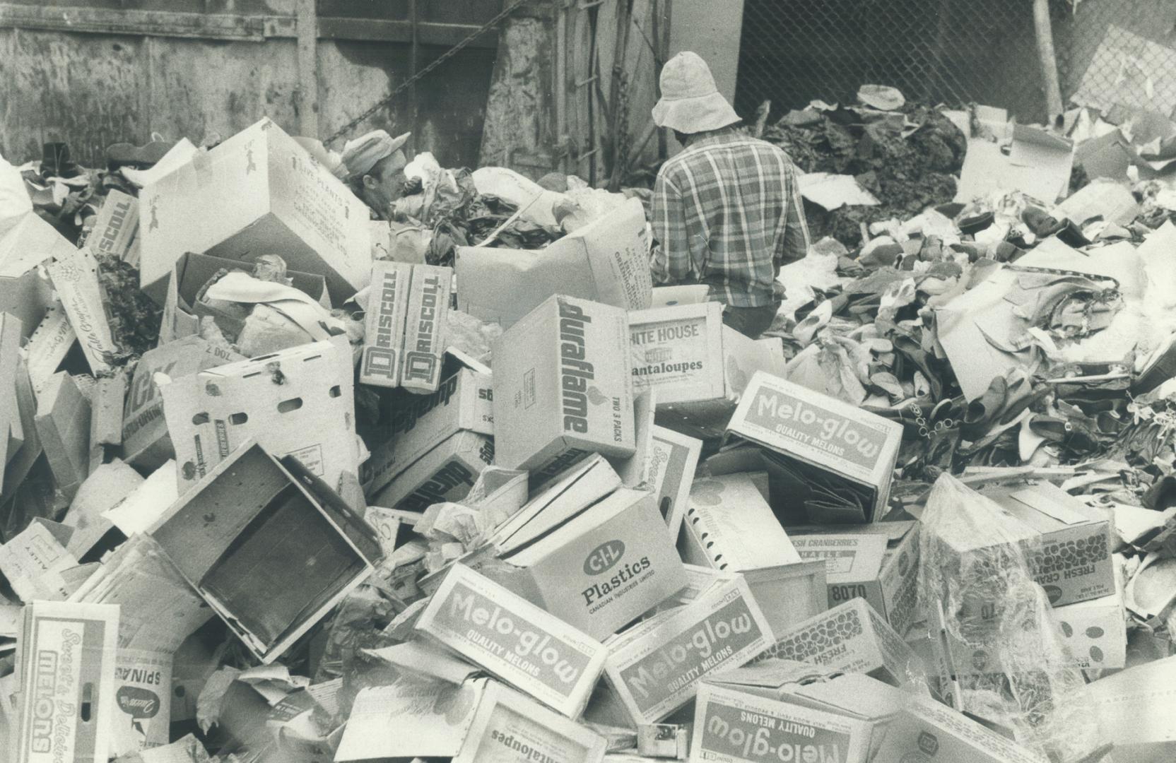 I agree that Queen's Park must act, and quickly, on the question of garbage disposal, says conservationist Gerald Rowland in letter below. He suggests(...)