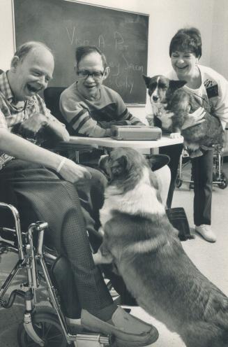 Pet corgis perk up hospital patients