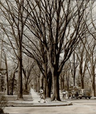 Canada - Ontario - Toronto - Historic - Streets - Avenue Road