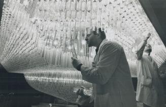 Light touch. Unhooking more than 10,000 crystals and cleaning the glant chandeller in the main lobby of L'Hotel on Front St. W. is a mammoth job for G(...)