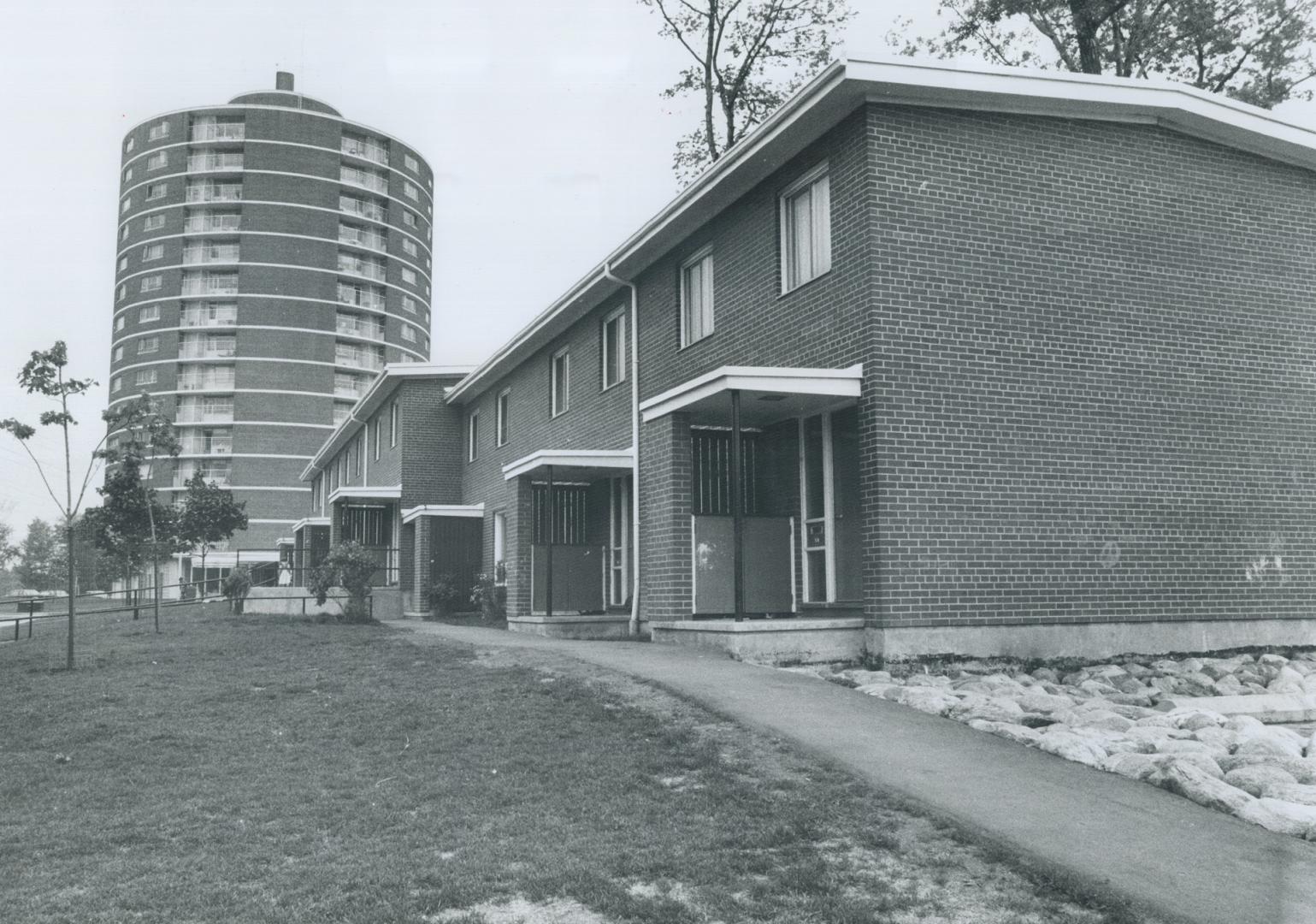 Warden woods, the Ontario Housing development for families and senior citizens, contains the homes of four women who discuss problems of single parent(...)