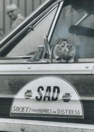 A potential client looks over the new ambulance operated by the society for animals in distress