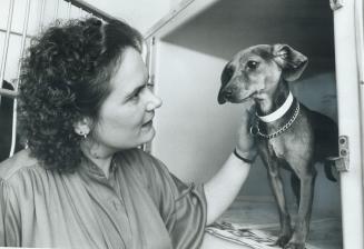 Humane Society's Janet Pinney and friend