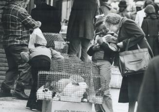 Ban live animal sales at market