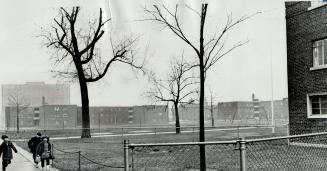 Centre of controversy between the Toronto Housing Authority and the city's parks and recreation committee is this courtyard at Regent Park North, show(...)