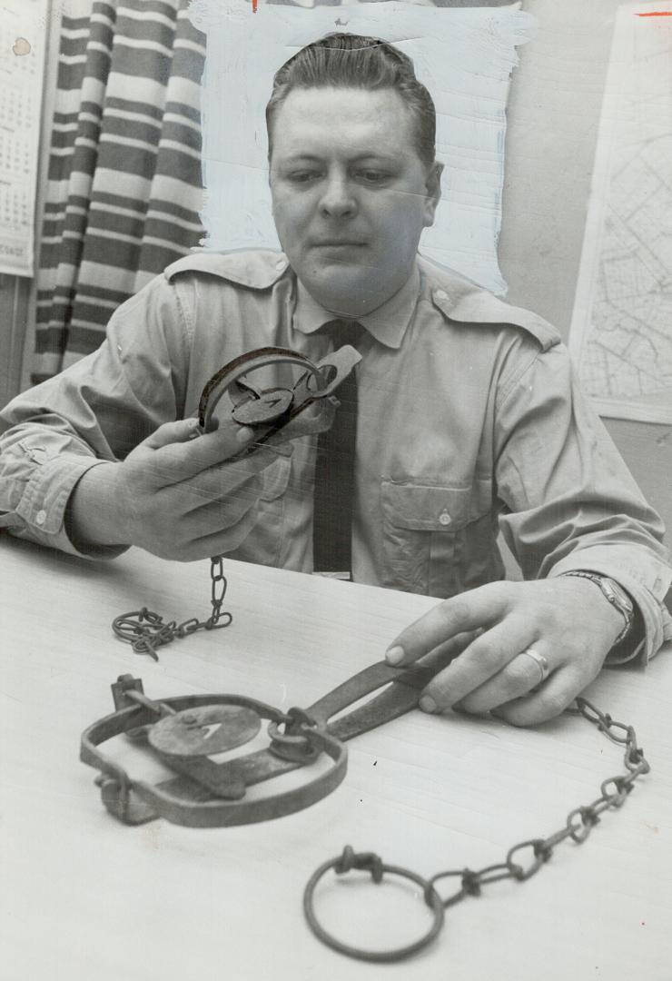 Inspector Leonard Addison of the Toronto Humane Society, says these traps are cruel - bu the Borough of York dog pound uses them against skunks . .