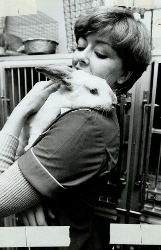 Meet Jack Bunny, the year-old rabbit, and friend Carol Gibson