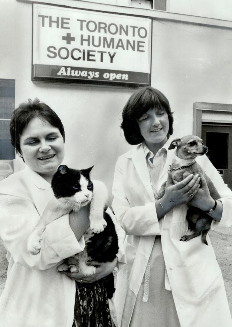 Toronto Humane Society workers Jan Pinney, left, and Tricia Ralston say they are becoming increasingly disturbed by the number of animals arriving at the shelter as strays and not being claimed