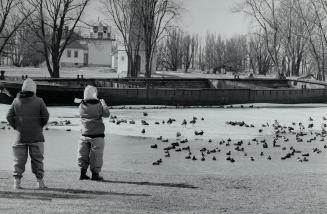 Canada - Ontario - Toronto - Island - Miscellaneous - 1910 -1959