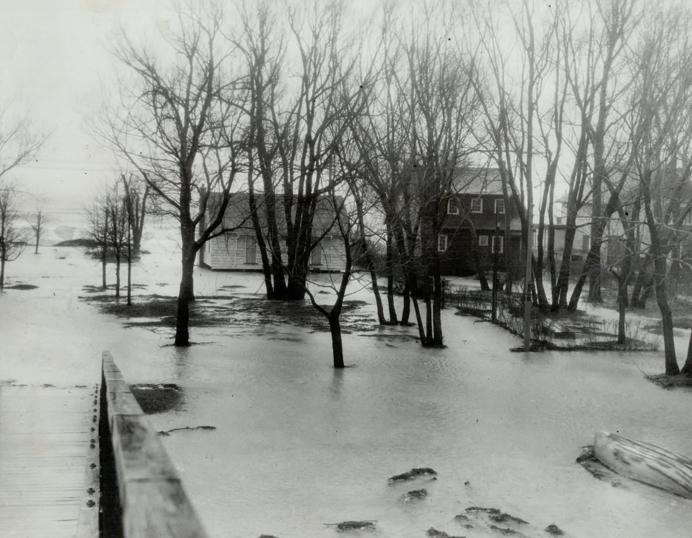 Spring came with a vengeance to Ward's Island yesterday when the storm-tossed lake crumpled a 25-foot wall of ice and rolled inland to inundate dozens