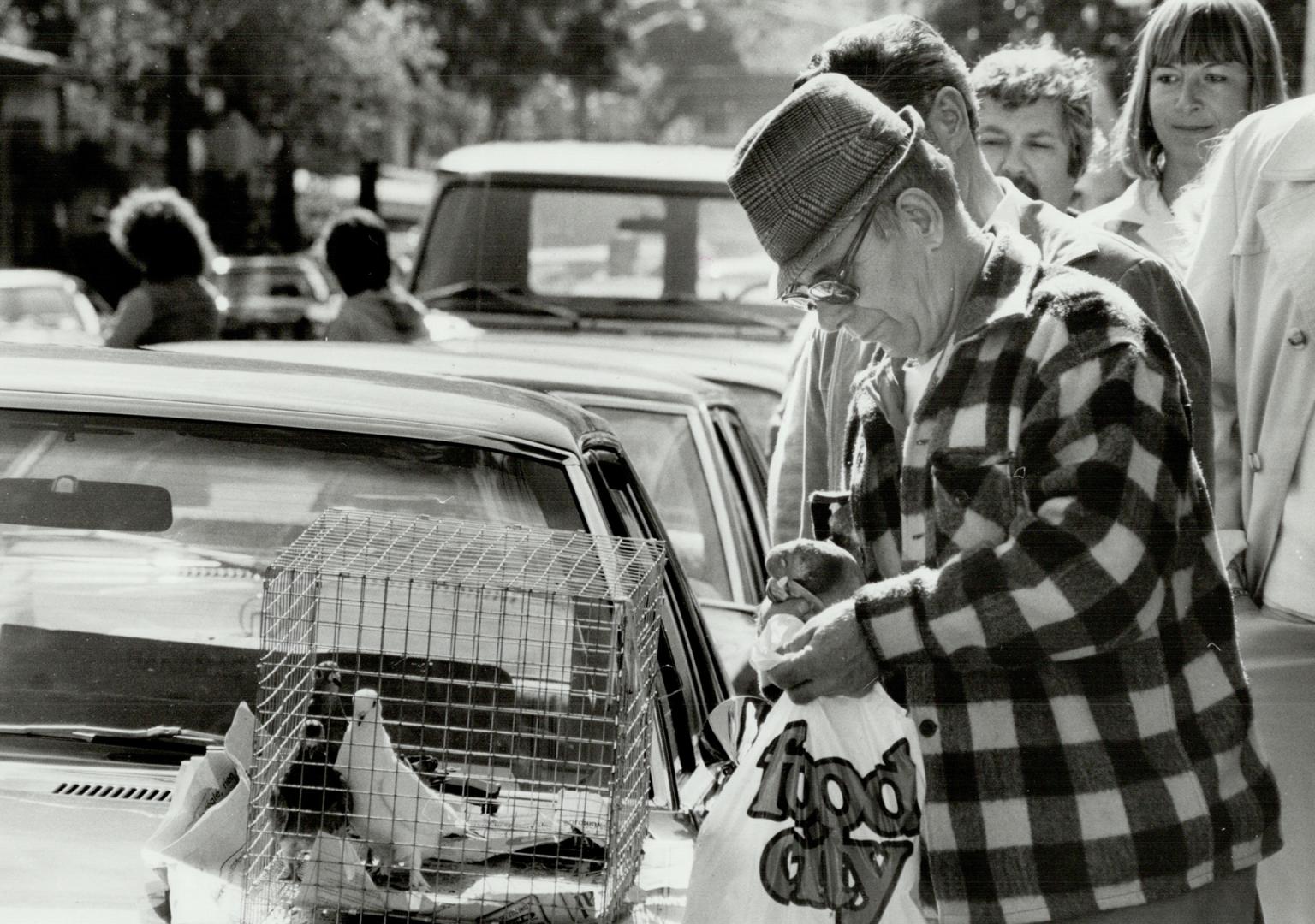 Canada - Ontario - Toronto - Markets - Kensington - 1980 and on