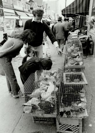 Canada - Ontario - Toronto - Markets - Kensington - 1980 and on