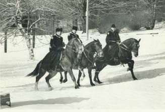 Metro's mounties Three members of the Metro police mounted unit, from left, Bert McKeown, John Gill and AI Calderwood, head back to the main Sunnybroo(...)