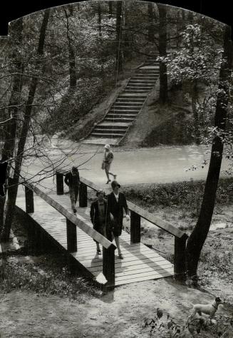 Early morning strollers enjoy the glories of the deep woods at High Park, Toronto