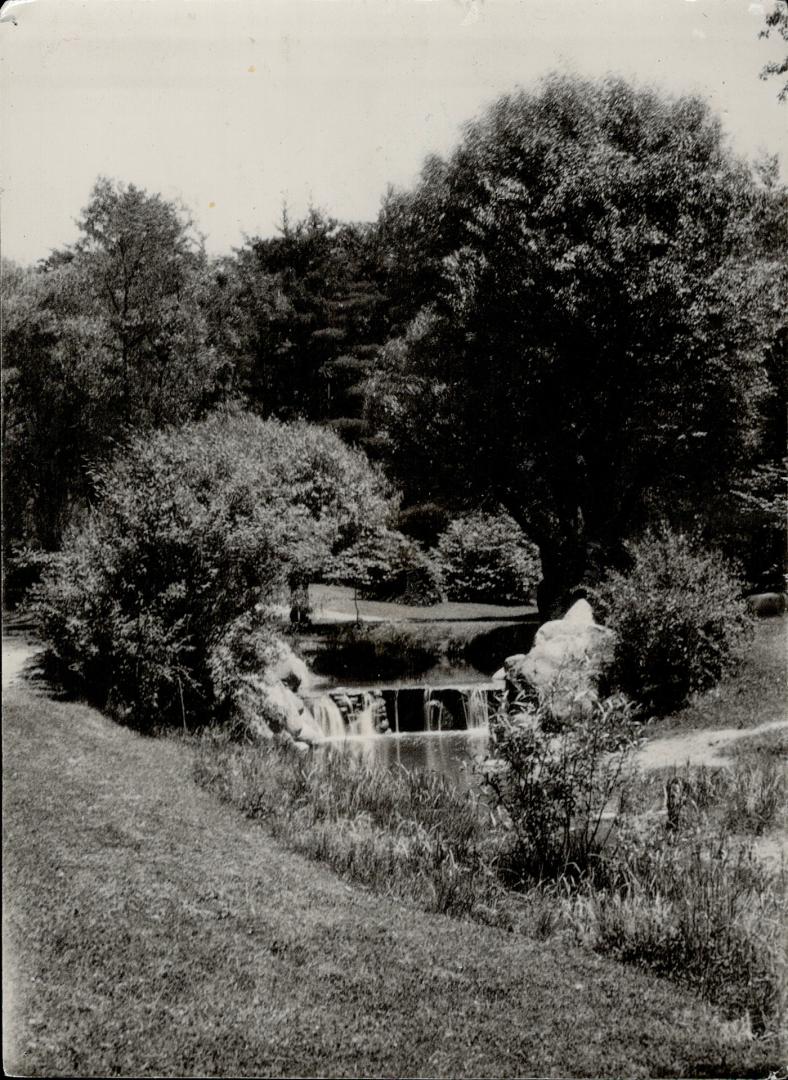 Image shows a part of the Reservoir Park.