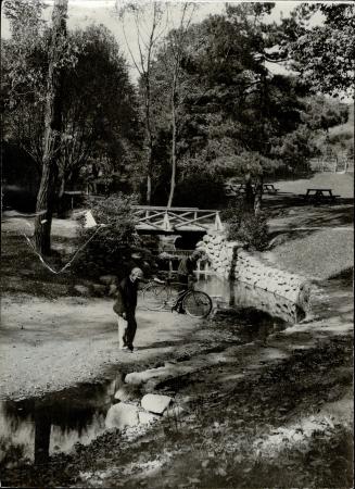 Image shows a person standing by the river in the park.