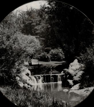 Image shows waterfalls in the park.