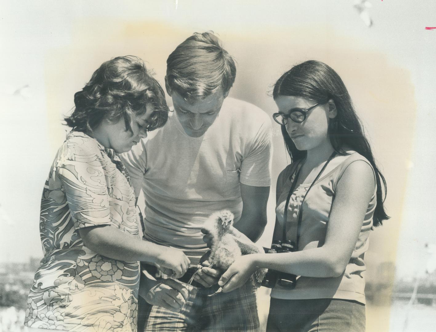 Teacher Ted Currie gives a lesson in how to band gulls to Iola Spassian, 12, of Osler Public School and Michelle MacIsaac, 11. of Kent Senior Public S(...)