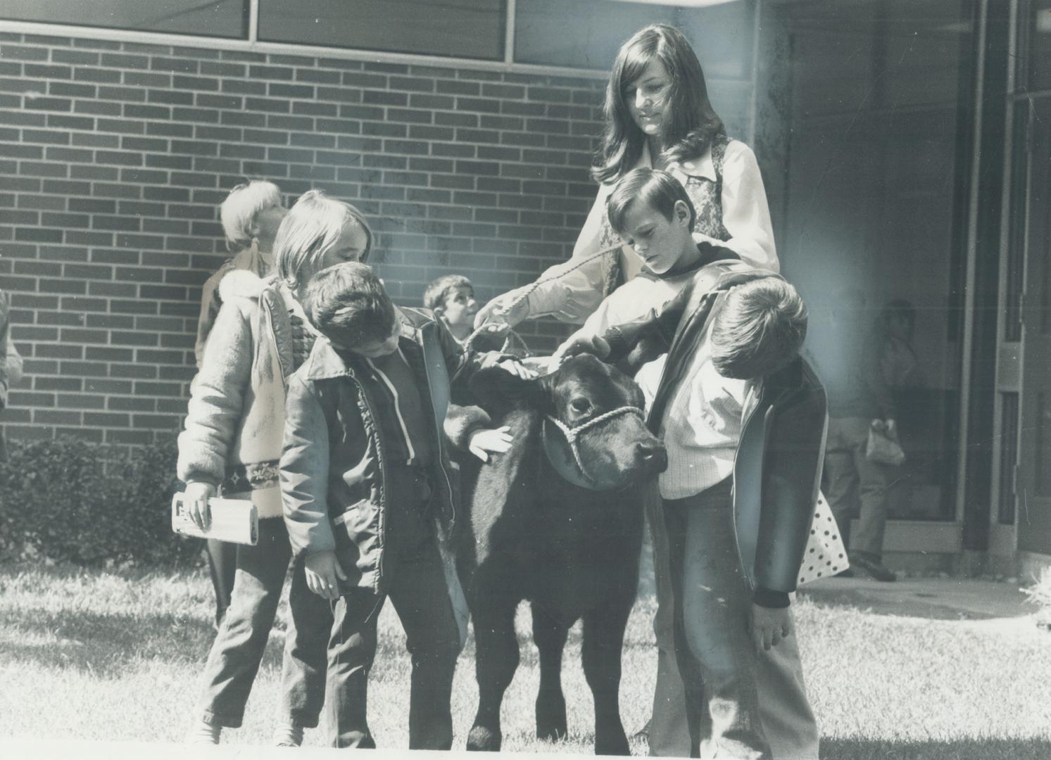 A north york school goes rural