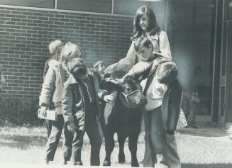 A north york school goes rural