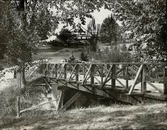 A scene on Donalda model farm on the Don river