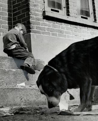 He wants a place to play. One of a hundred children who live in Toronto's Angus Place slum sits on his concrete steps today while City Council debates(...)