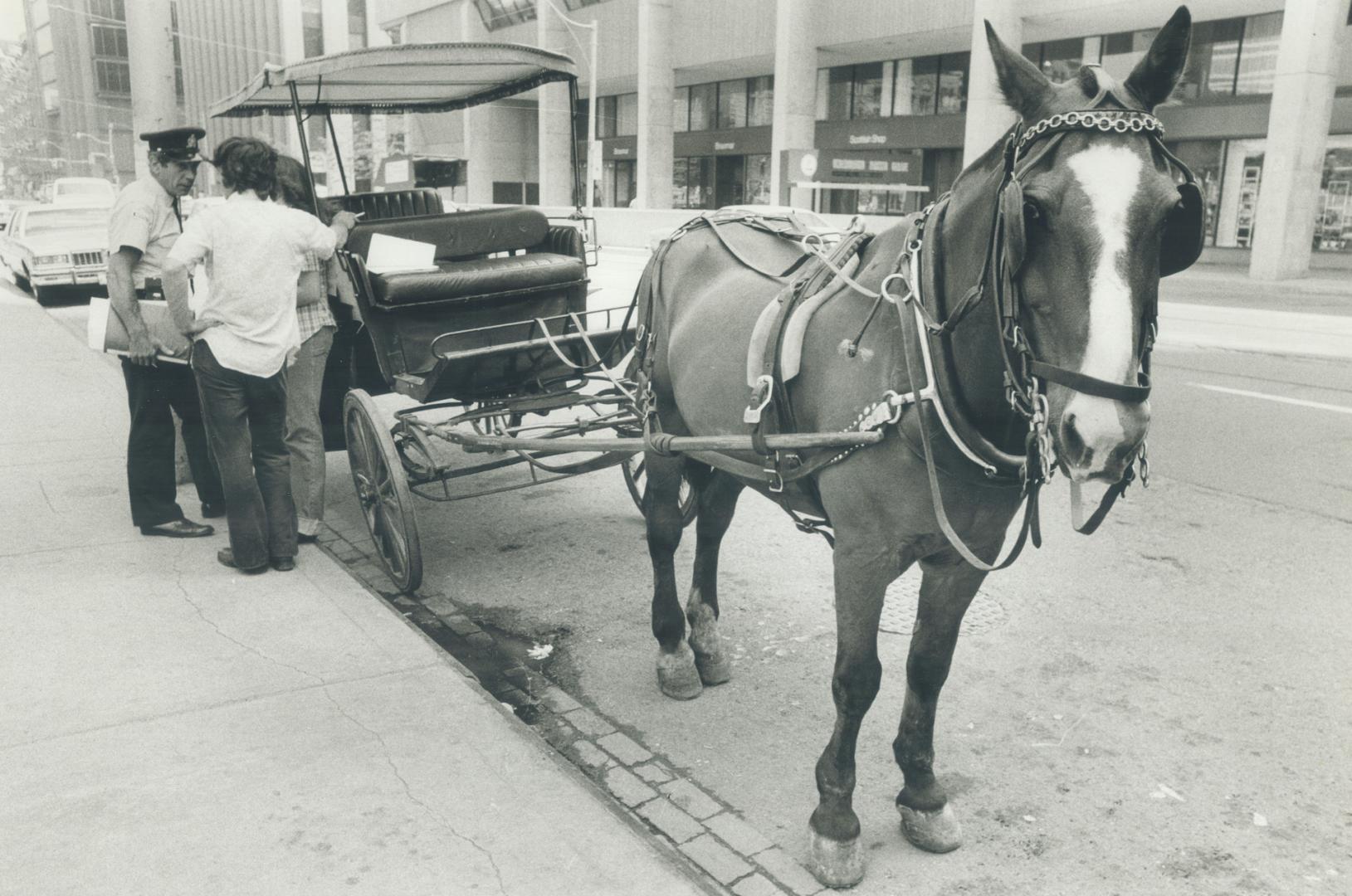 Canada - Ontario - Toronto - Transportation