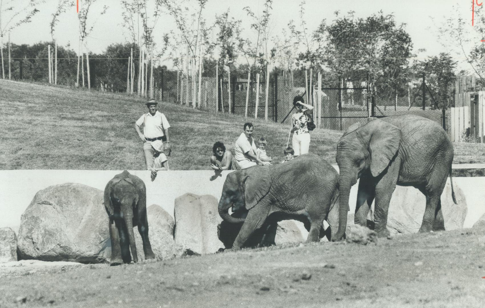 'My enthusiasm for Metro Toronto Zoo has not faded, says former director Gunter Voss, in letter below