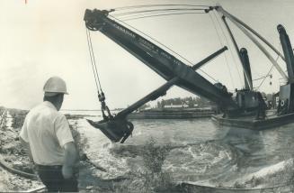 Image shows a construction worker looking at the crane working at Harbour.