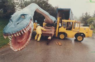 This prehistoric sea reptile, an 11-metre (37-foot) elasmosaurus, arrives by truck at the Metro zoo yesterday to spend the summer impressing visitors (...)